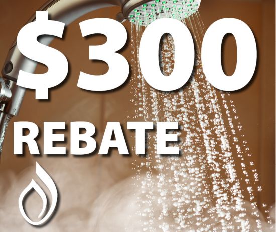 Phillips Energy 300 Tankless Hot Water Rebates NOW AVAILABLE 