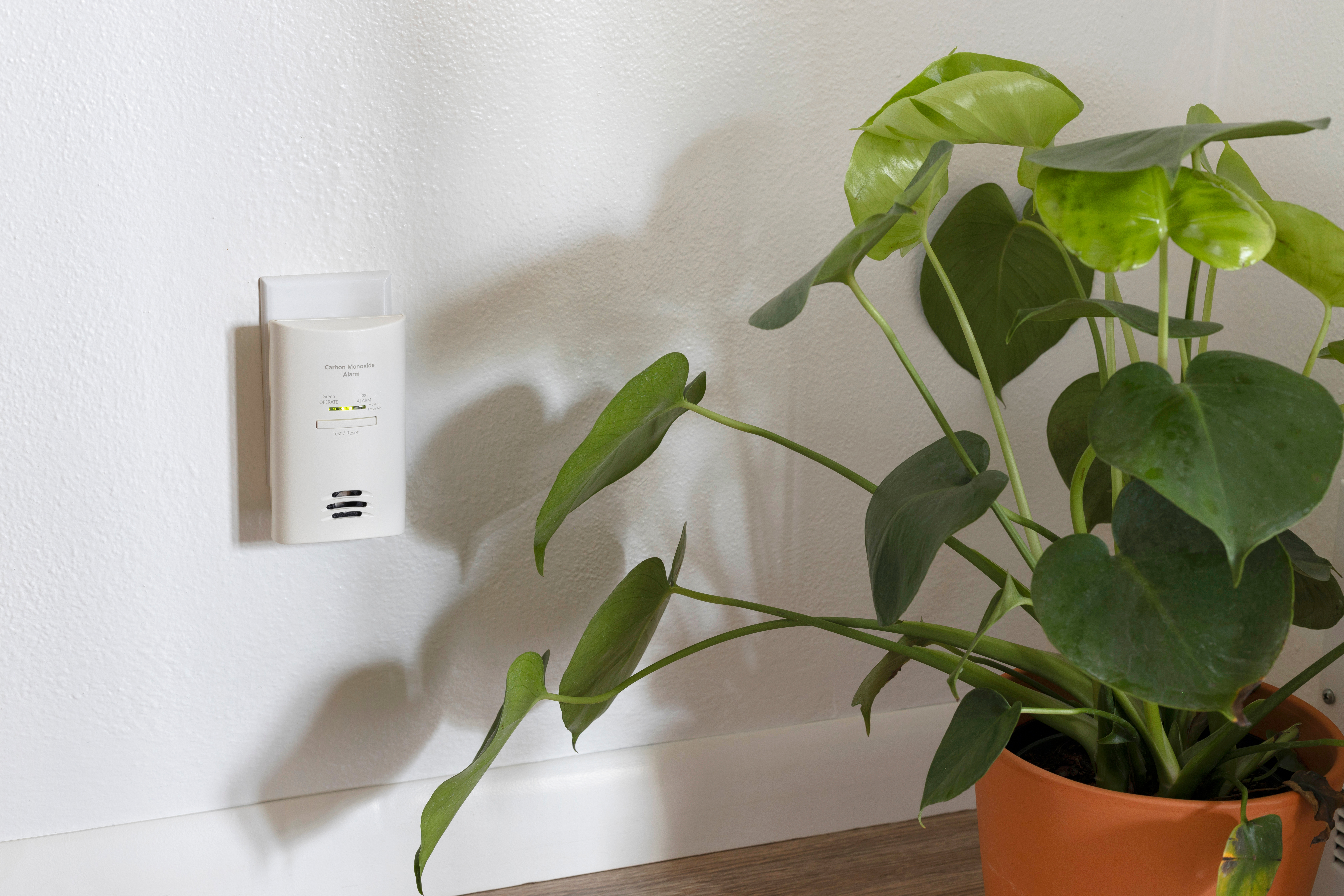 carbon-monoxide-detector-home-safety-phillips.jpeg